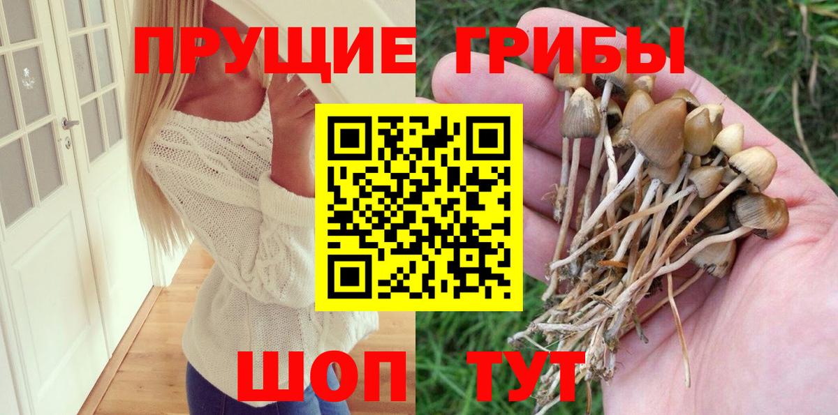 Галлюциногенные грибы Cubensis  Вход с VPN  Псилоцибиновые грибы прущие грибы  Волжск 
